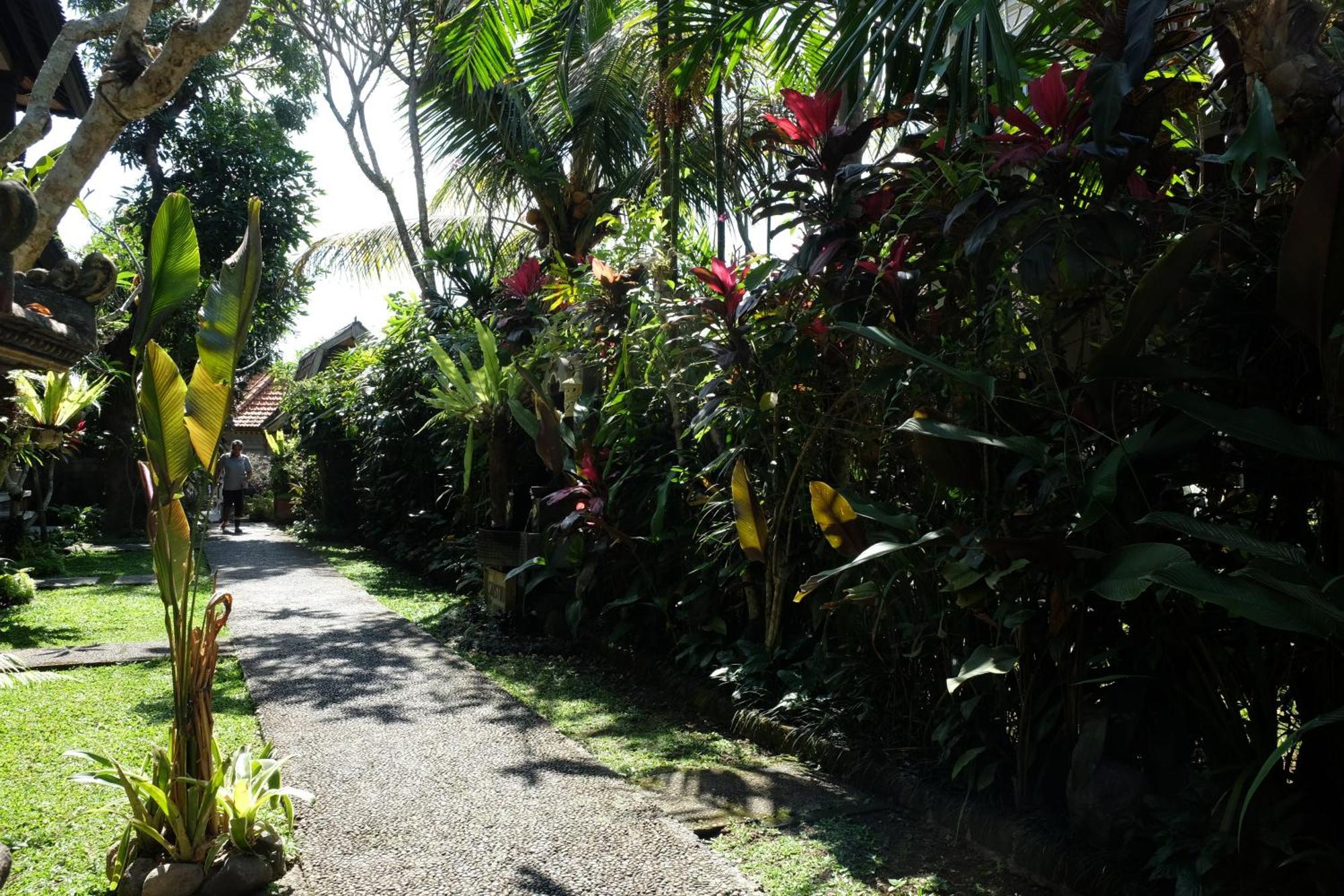 Suastika Guest House Ubud المظهر الخارجي الصورة