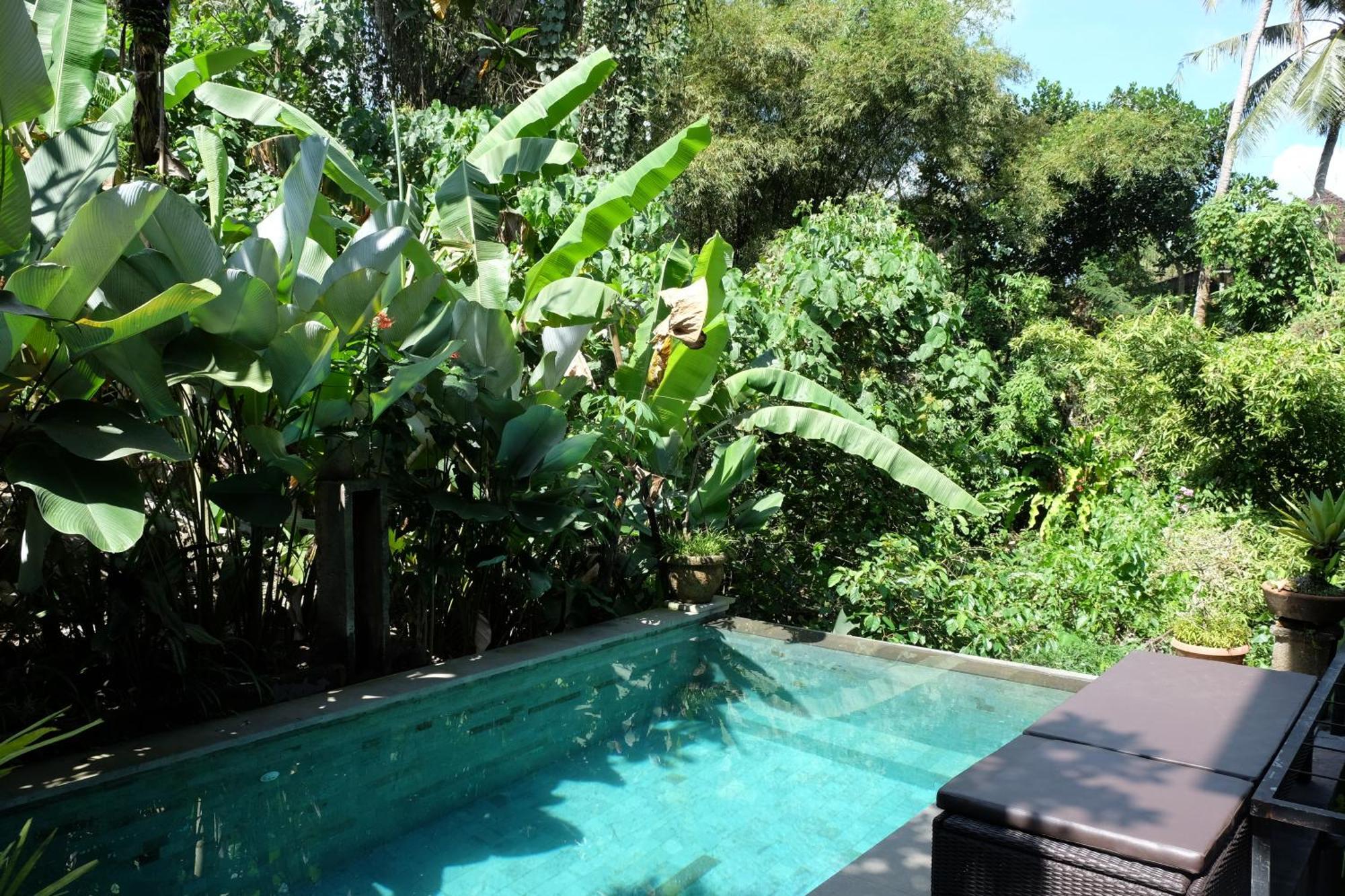Suastika Guest House Ubud المظهر الخارجي الصورة