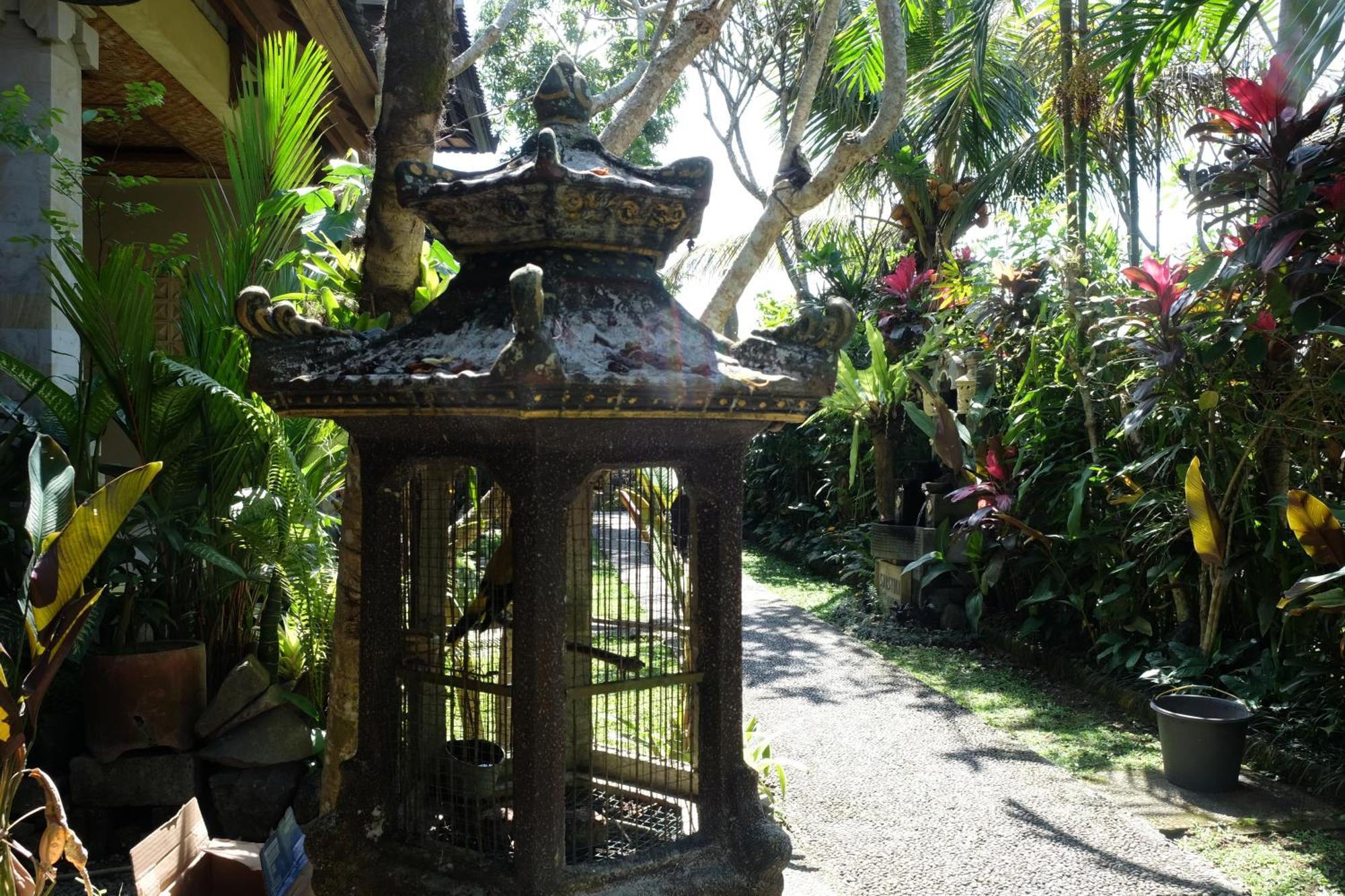 Suastika Guest House Ubud المظهر الخارجي الصورة