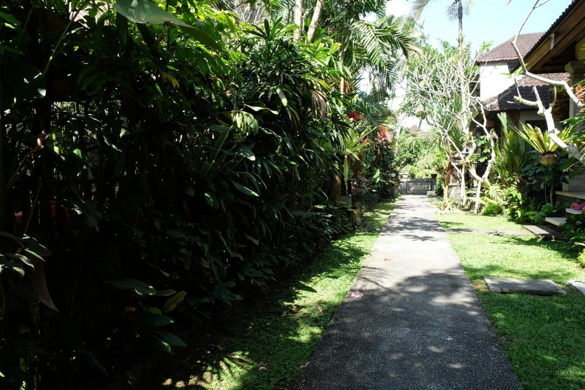 Suastika Guest House Ubud المظهر الخارجي الصورة